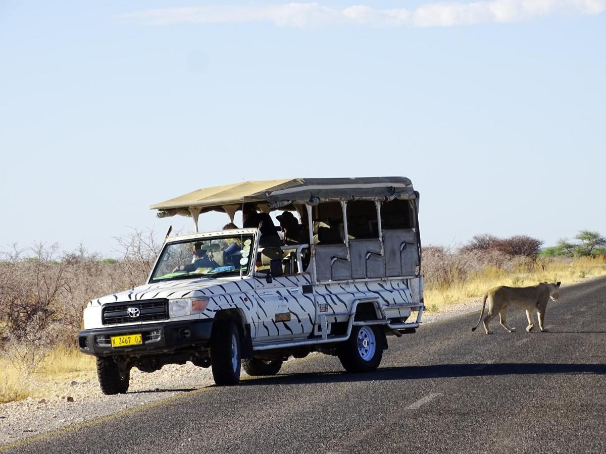 Etosha Safari Camping2Go Okaukuejo Dış mekan fotoğraf