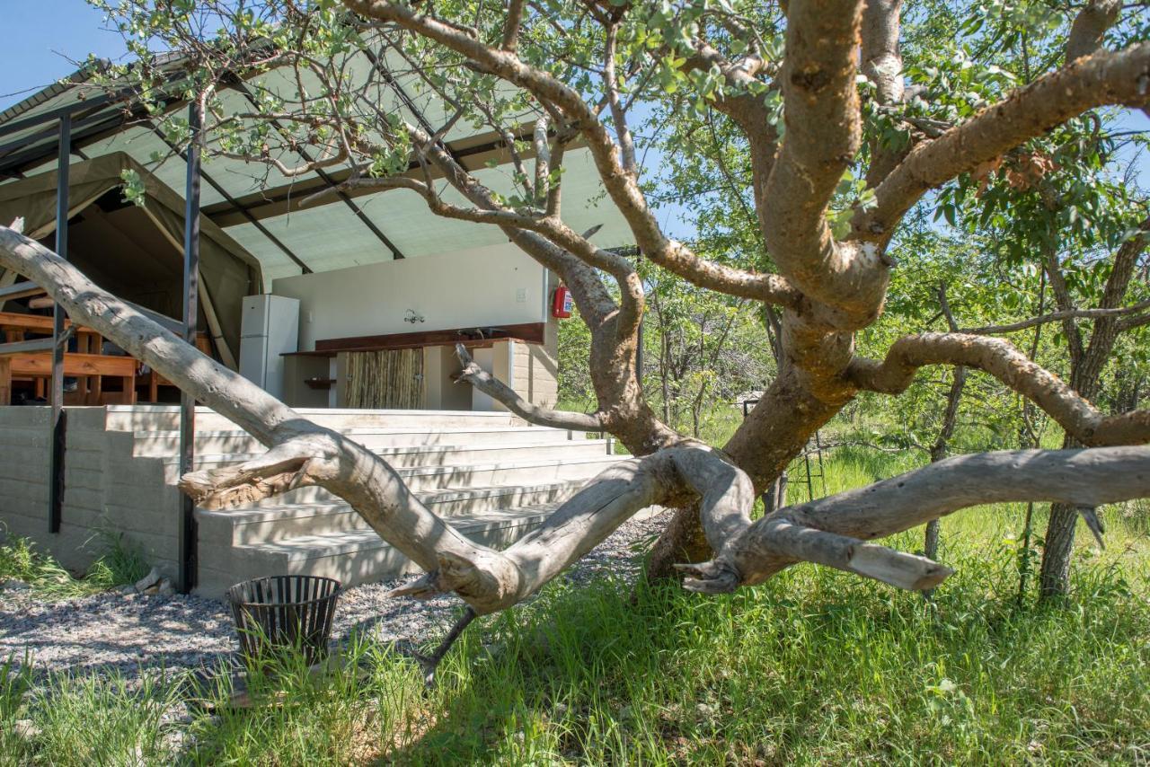 Etosha Safari Camping2Go Okaukuejo Dış mekan fotoğraf